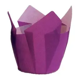 Imagen del producto 1000000016444