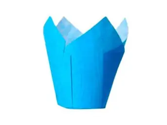 Imagen del producto 1000000016482