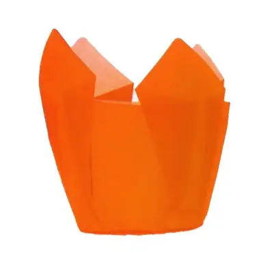 Imagen del producto 1000000016499