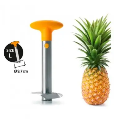 Imagen del producto 8411922434026