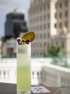 Imagen del producto 8420062000619