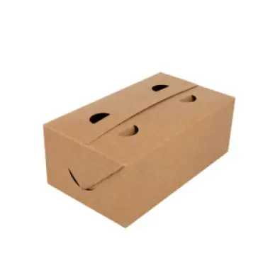 Imagen del producto 8420499223216